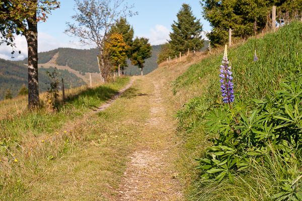 Wanderweg Panoramaweg