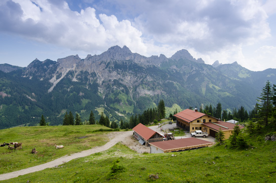 Krinnenalpe 1530 m