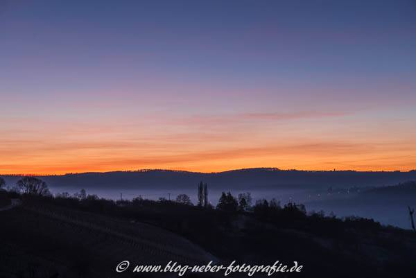 Blaue Stunde im Weinberg