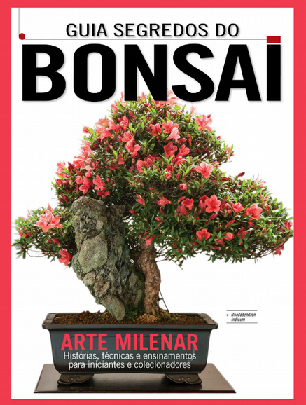 Buch: Buia Segredos do Bonsai