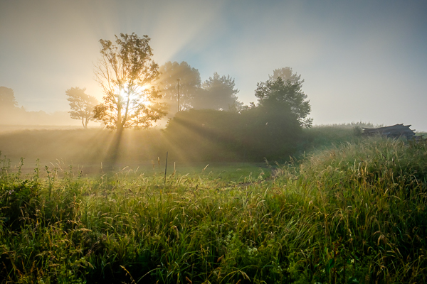 Sonnenstrahlen im Morgennebel