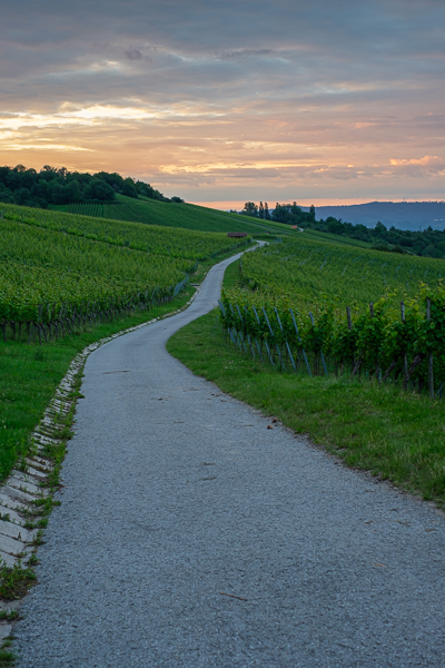 Straße im Weinberg