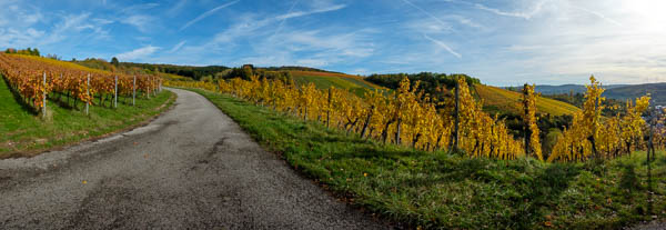 Herbstfärbung am 1. November 2023