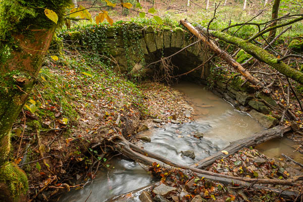 Steinbrücke im Wald bei Aichschieß